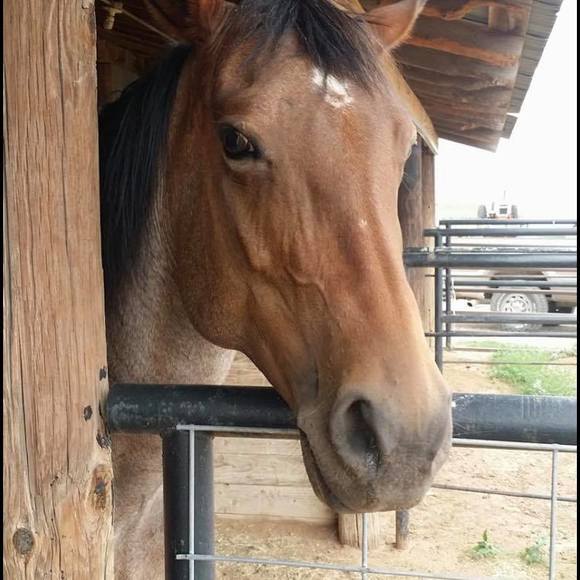 Meet your Posher, Randy - Picture 1 of 1